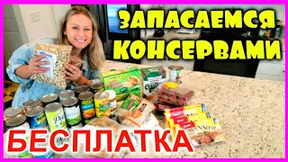 Бесплатные продукты в США/ПАНИКА/Консервы на случай мирового голода/Кризис в США/Жизнь в Америке