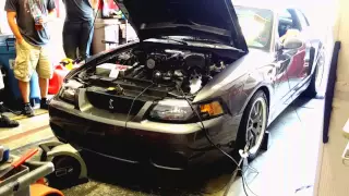 '03 Cobra with a Kenne Bell 2.8H Mammoth Dyno pull with results