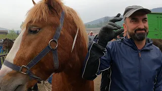 Na derneku u Turbetu najskuplji konji - 06.05.2022