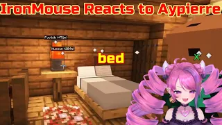 IronMouse Visits Aypierre's House on QSMP Minecraft