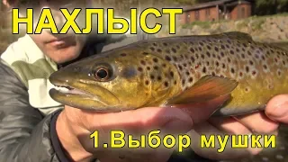 НАХЛЫСТ для начинающих: выбор мушки / FLYFISHING for beginners: choosing right fly