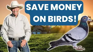 SAVE HUNDREDS OF DOLLARS on Birds in the Field While Training Your Hunting Dog