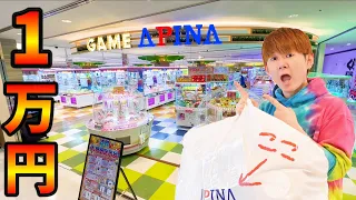 「1万円」クレーンゲーム❕アピナ「MEGAドン・キホーテ成増店」５階にあるゲームセンターがグランドオープン！さとちん