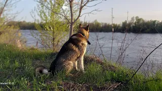 Первый день на Ахтубе