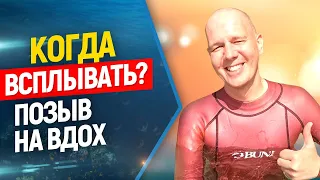 👌Позыв на вдох. Когда всплывать ? Зоны дискомфорта.