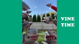 Best Tik Tok of Shark Puppet (W/Titles), Funny Shark Puppet Tik Toks  January   2021