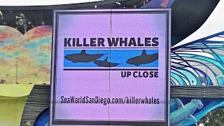 Killer Whales: Up Close (Full Show) April 21, 2015 SeaWorld San Diego