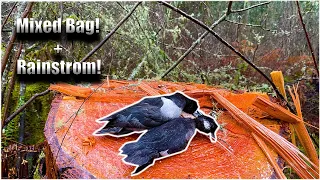 AWESOME Mixed Bag Duck Hunt In A RAINSTORM!