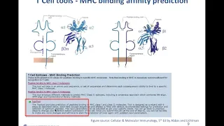 IEDB Analysis Resource – Package of tools for immune epitope prediction and analysis, Dr. Sinu Paul