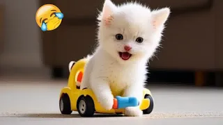 ❤️🤣 Funniest Cats and Dogs Videos 😍🙀 Funny Animal Videos #9