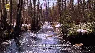 Wild Russia  Primeval Valleys National Geographic)_youtube_original