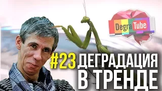 Деградация в тренде #23 | ПАНИН создал КАНАЛ, Богомол в ВАКУУМЕ и МОНСТРЫ НА ВИДЕО