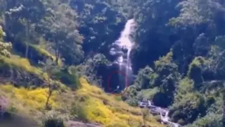 Video captures Bigfoot like figure in Indonesian jungle