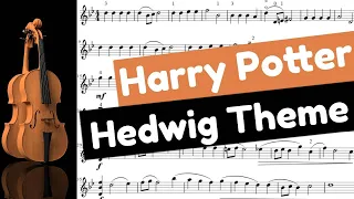 Harry Potter - Hedwig Theme - Violin Cover