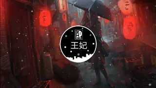 Vương Phi (王妃 (DJ版) | Nhạc gây nghiện trên Tiktok Trung Quốc | Douyin Music