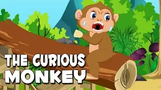 Moral Stories In English | The Curious Monkey | English Short Stories | Moral Stories