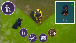 I Got a " True Friend " Dog Rottweiler From Puppy Level 3! Last Day On Earth Survival