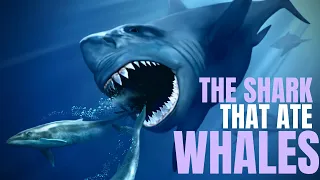 MEGALODON - The Shark That Ate Whales ~ with JACK COOPER