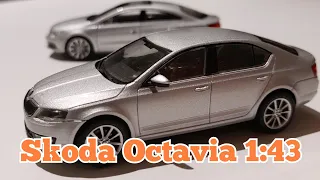 1:43 Skoda Octavia #abrex & 1:43 VW Passat CC #schuco / Modellauto