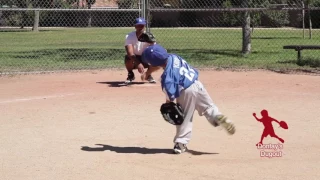 Amazing 3-year old Baseball player.