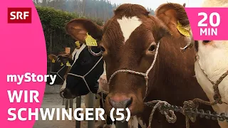 Viehschau statt Schwingen (5/6) | myStory: Wir Schwinger | SRF Kids – Kindervideos