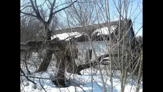 Заброшенная деревня в лесу.  Остался один дом. Мои находки в нем