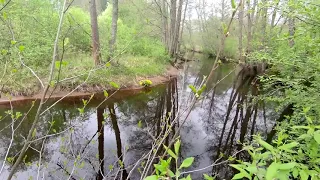 Прогулка вокруг Озёрка. Лодейное Поле.