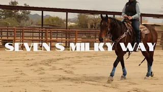 SEVEN S MILKY WAY | Consigned to the Rancho Rio Horse Sale Spring Classic