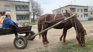 ПРОГУЛКА ..ОСТАЛАСЬ ОДНА ЛОШАДКА НА ВСЮ ДЕРЕВНЮ😪#переезд #деревня #переездвдеревню #изгородавдеревню