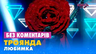 ТРОЯНДА - ЛЮБИМКА. БЕЗ КОМЕНТАРІВ ДЕТЕКТИВІВ