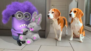 Oh No Minions Become Real !!! Cool Minion Animations Compilation .