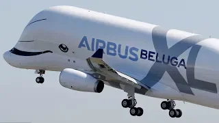 Whale done: Airbus Beluga XL soars into skies above France for first flight