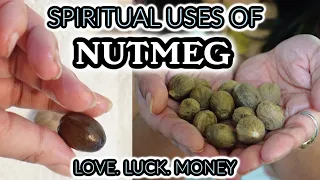 NUTMEG SPIRITUAL USES FOR LOVE, LUCK AND MONEY 🌱 A POWERFUL SEED FOR MANIFESTATION
