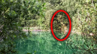 Man Hides Giants In The Forest That He Makes From Wood