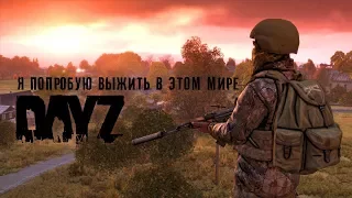 DayZ Standalone vs CS - GO - GTA 5 стрим #79 - Вечер и ночь, наше время