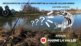 Découverte des étangs de Marne la Vallée ( l'étang BEP 8 de Serris )