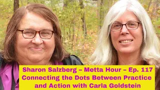 Sharon Salzberg – Metta Hour Ep 117 – Carla Goldstein: Connecting the Dots Between Practice & Action