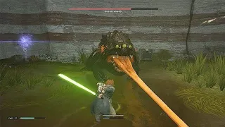 Jedi: Fallen Order Oggdo Bogdo Boss Fight [ Jedi Master Difficulty ] No Damage (Parry Focused)