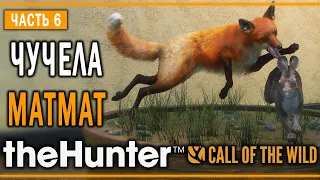 theHunter Call of the Wild #6 🦊 - Лиcий Обeд - Кoмпозиции из Чучeл