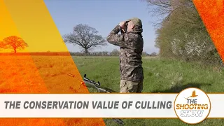 The Shooting Show - Moving deer in East Anglia and foxing with a Mauser Fenris rifle