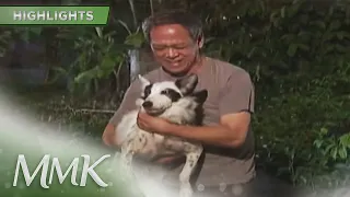 Lolo Jessie adopts Simba and Brownie | MMK