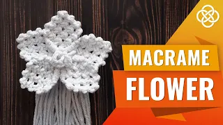 Цветок в технике макраме | Macrame DIY | Урок макраме для начинающих