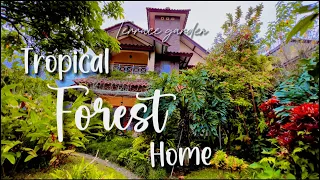 Tropical garden forest home 🌿✨| frontyard landscape design ideas