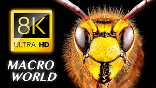 OBJECTS VIDEO  ●  MACRO 8K VIDEO ULTRA HD