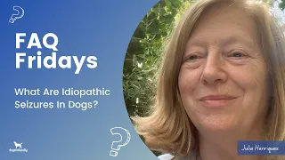 What Are Idiopathic Seizures In Dogs?