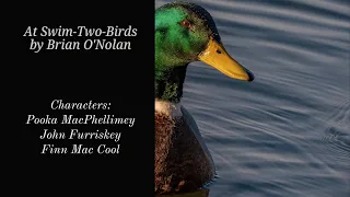 At Swim-Two-Birds by Brian O'Nolan [Book Summary]