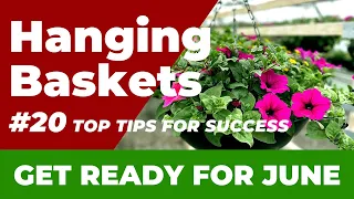 Create STUNNING HANGING BASKETS on a Budget with Paul Hamby