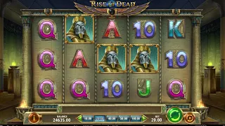 Обзор игрового автомата Rise of Dead (Play'n GO)