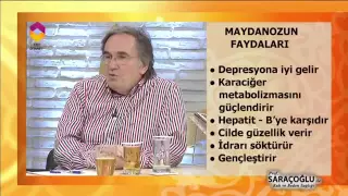 Maydanoz Hakkında Tıbbı Bilgiler - DİYANET TV