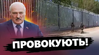 Білоруси провокують ЛАТВІЮ / Що задумав Лукашенко?